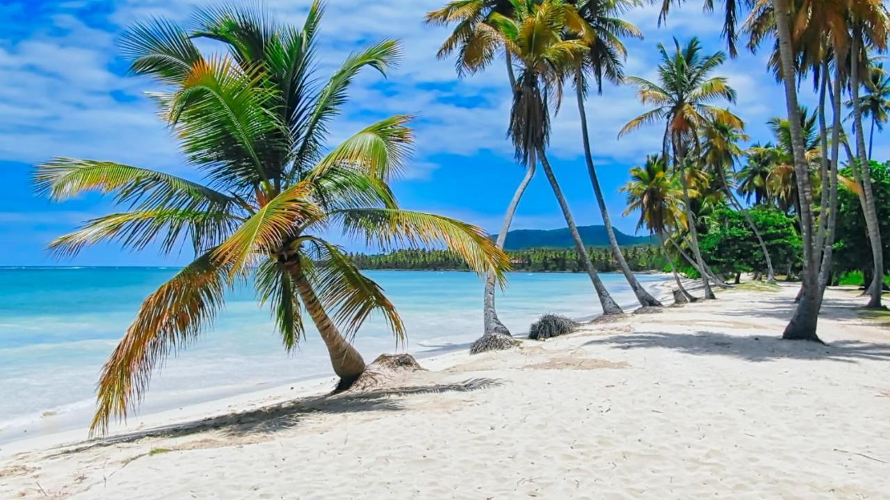 Villas Paradiso Bio-Resort Las Galeras Exterior photo
